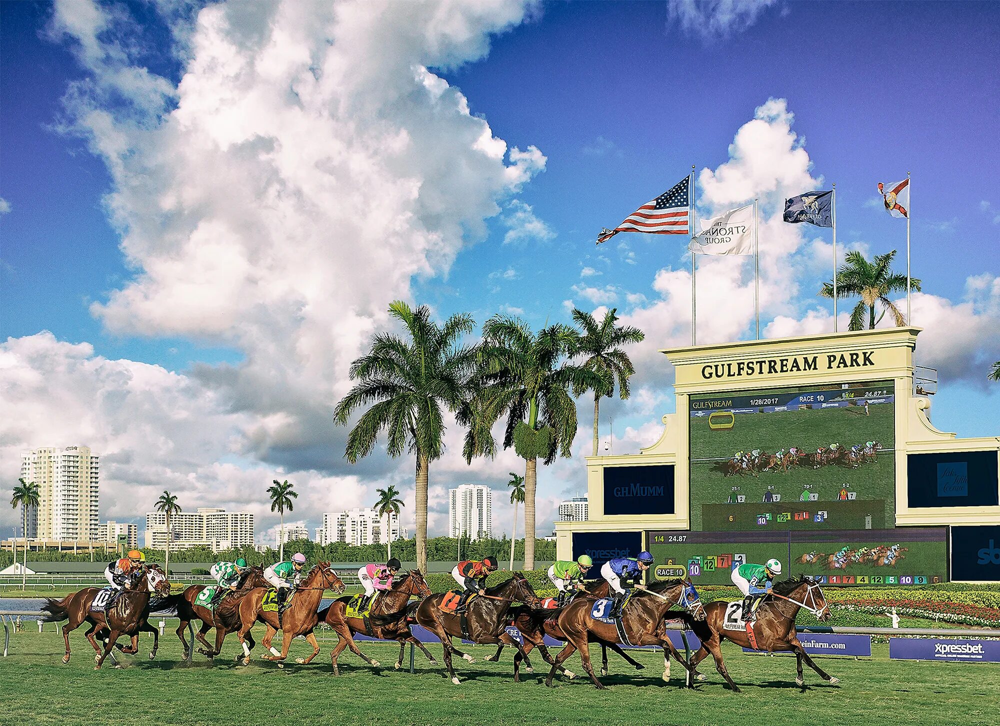 гольфстрим парк. ипподромы в австралии. флорида квартиры. Gulfstream park pegasus. гольфстрим парк.