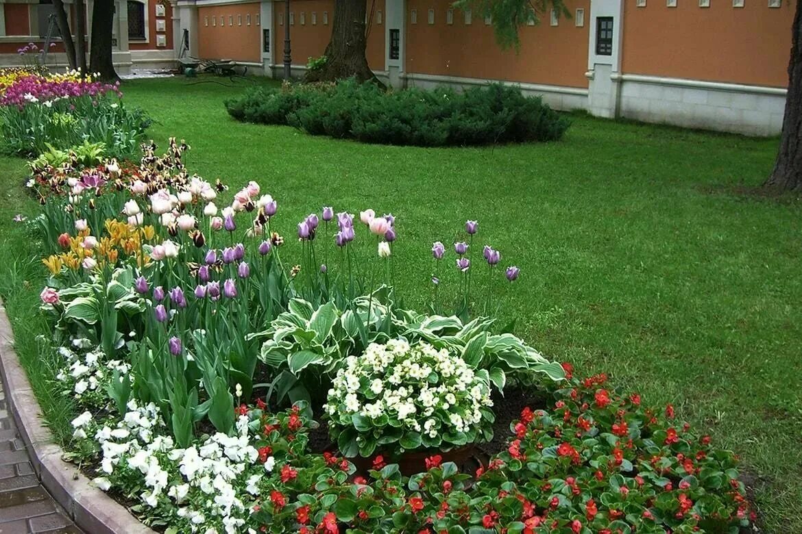 Фото клумбы с цветами возле дома. Рабатка Тунберга. Красивые клумбы. Красивые цветники. Дачный цветник.