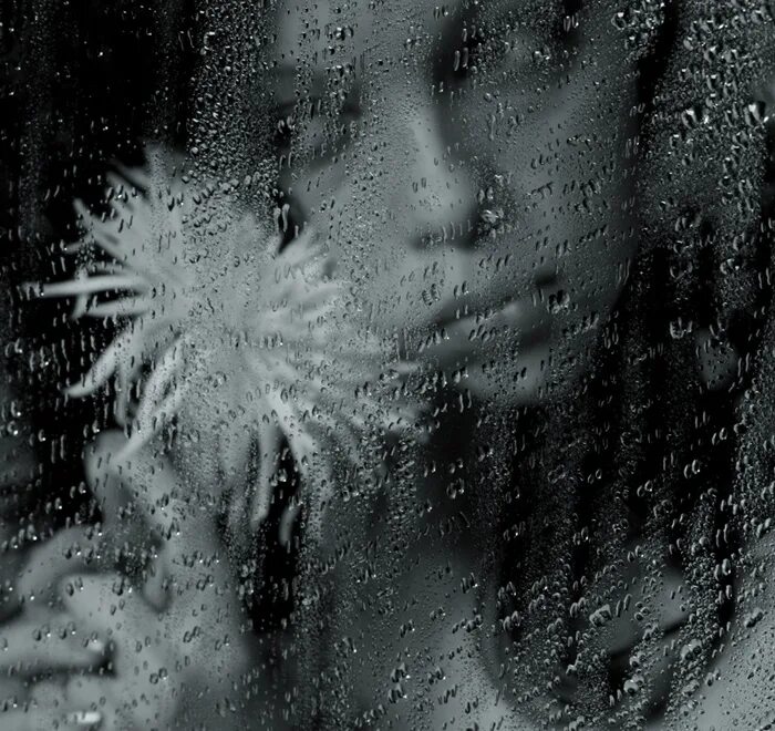 песня дождь моросит. тексты детских песен. дождик за окном моросит текст. песня дождь моросит. моросящий дождь.