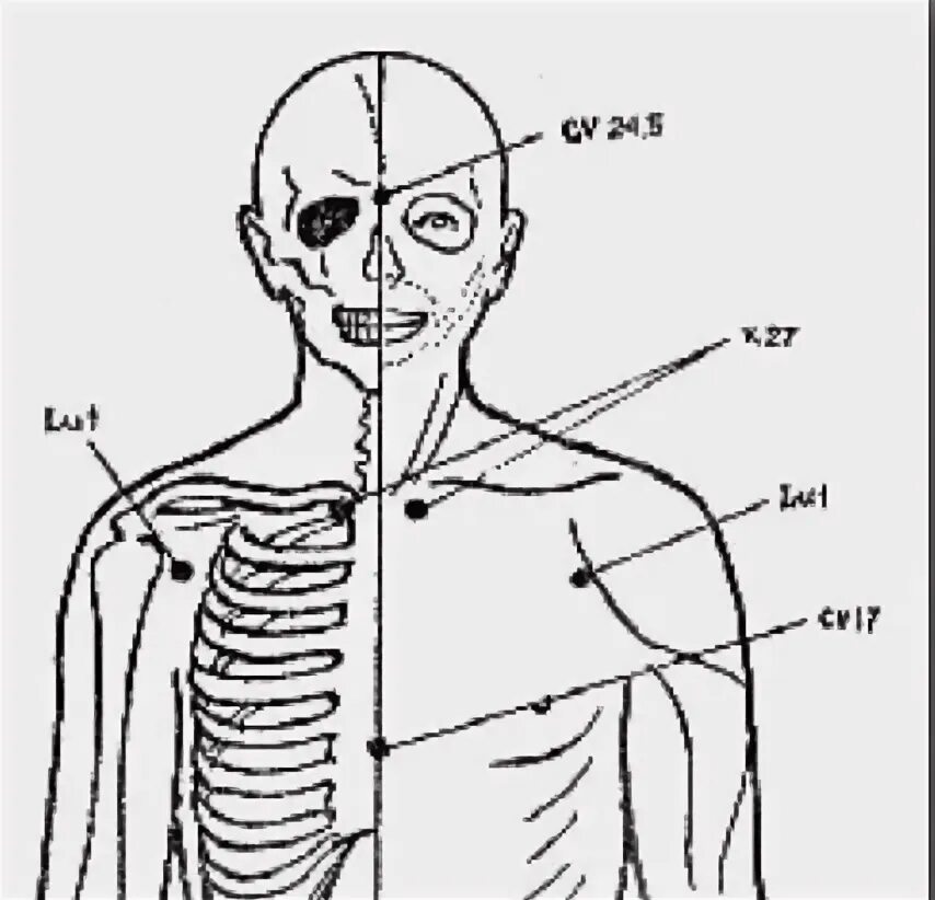 Версия точка 27. К27 точки акупунктуры. Точка к27 кинезиология. Точка к 27 для лимфатической системы. Точка к27 Меридиан.