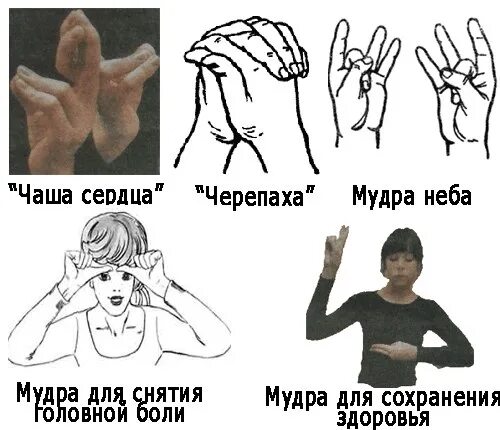 Мудры детям