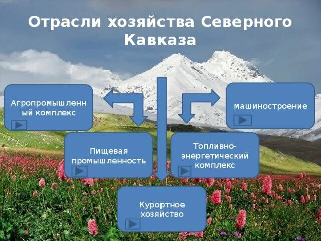 Отрасли хозяйства Кавказа. Отрасли хозяйства Северного Кавказа. Отрасли промышленности Северного Кавказа. Промышленность и сельское хозяйство Северного Кавказа.