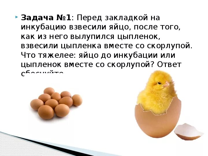 История про яйца. Проект про яйца. Стих про яйцо. Цитаты про яйца. Яйцо с вопросом.