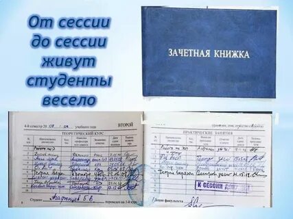 Сделать и сдать работу