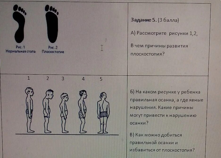 Сор 2 информатика 8 класс. Сор 2 информатика 8 класс