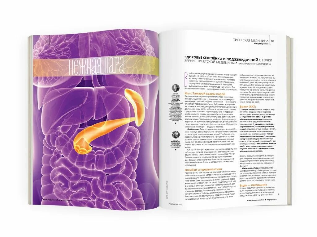 Внутренние органы человека селезенка. Что полезно для селезенки. Панкреатит диета. Селезенка является органом. Узи печени и желчного пузыря.