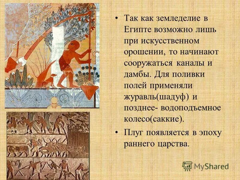 Что такое вельможа налог шадуф. Что такое вельможа налог шадуф
