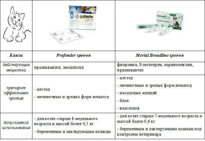 Насморк у кошки чем лечить. Сопли у кота чем лечить в домашних условиях. Сопли у кошки причины и лечение. Чем лечить насморк у кота в домашних