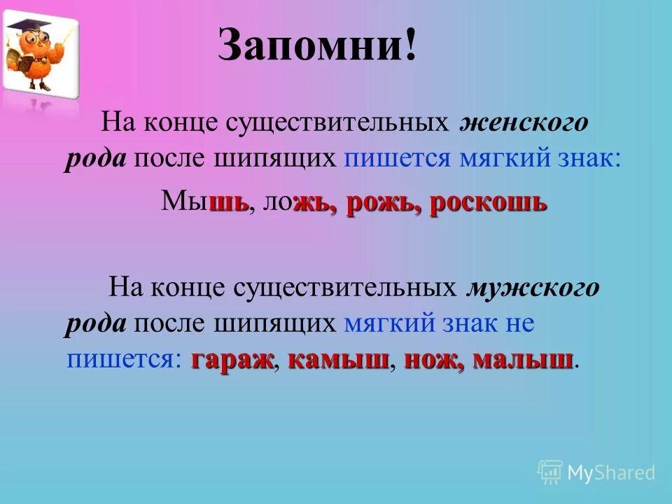 Существительное мужского рода с шипящим на конце. Мягкий знак после шипящих на конце существительных женского рода. Мягкий знак на конце шипящих женского рода. Мягкий знакна конце имён существительных.