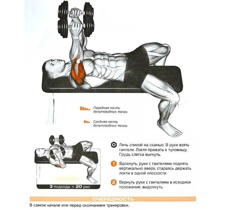 Жим штанги лежа техника мышцы. Жим лежа гантели техника. Жим лежа с гантелями техника выполнения. Жим гантелей лежа техника выполнения. Жим гантелей лежа на горизонтальной