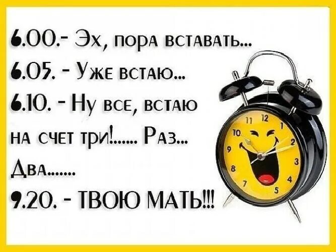 Анекдоты про будильник. Шутки про будильник. Утро пора вставать. Пора просыпаться. Раз пришел значит