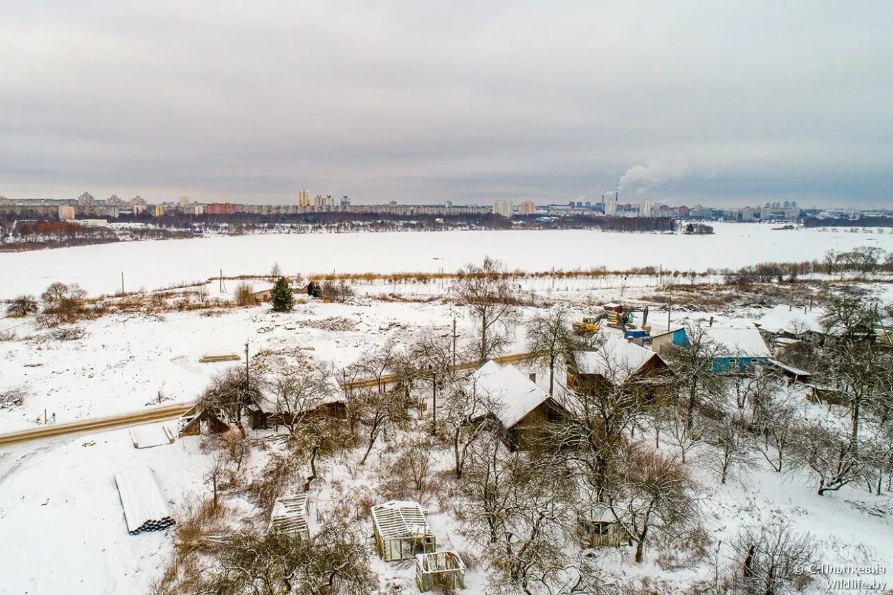 Чижовская слобода воронеж исторический. Чижовка в воронеже. Микрорайон чижовка воронеж. Слобода чижовка воронеж. Чижовка воронеж.
