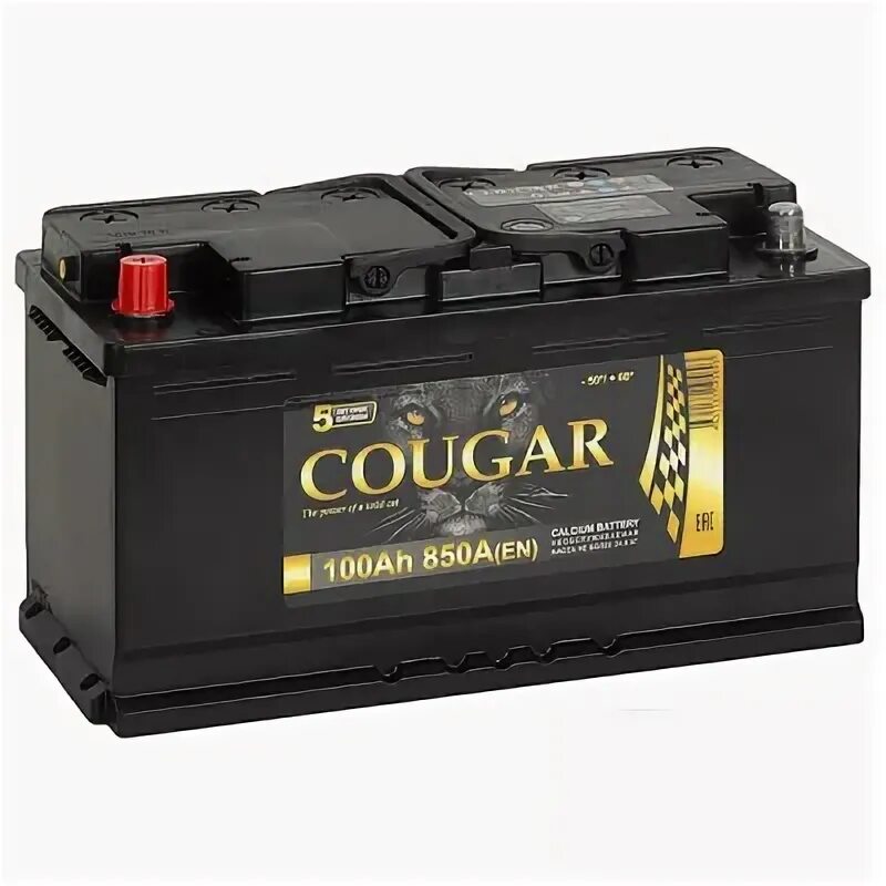 100 battery. Аккумулятор cougar 100ah. Cougar аккумулятор 100ah 800. Cougar аккумулятор 100. Аккумулятор cougar 100ач 820а.