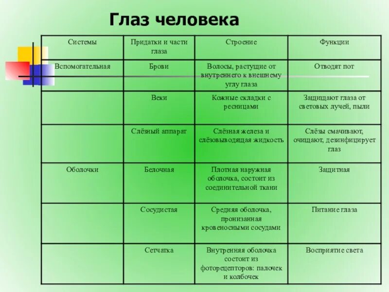 Биология 8 класс строение и функции. Части глаза строение и функции таблица. таблица строение глаза название строение функции. строение и функции глаза таблица 8 класс. оболочки глаза особенности строения функции.