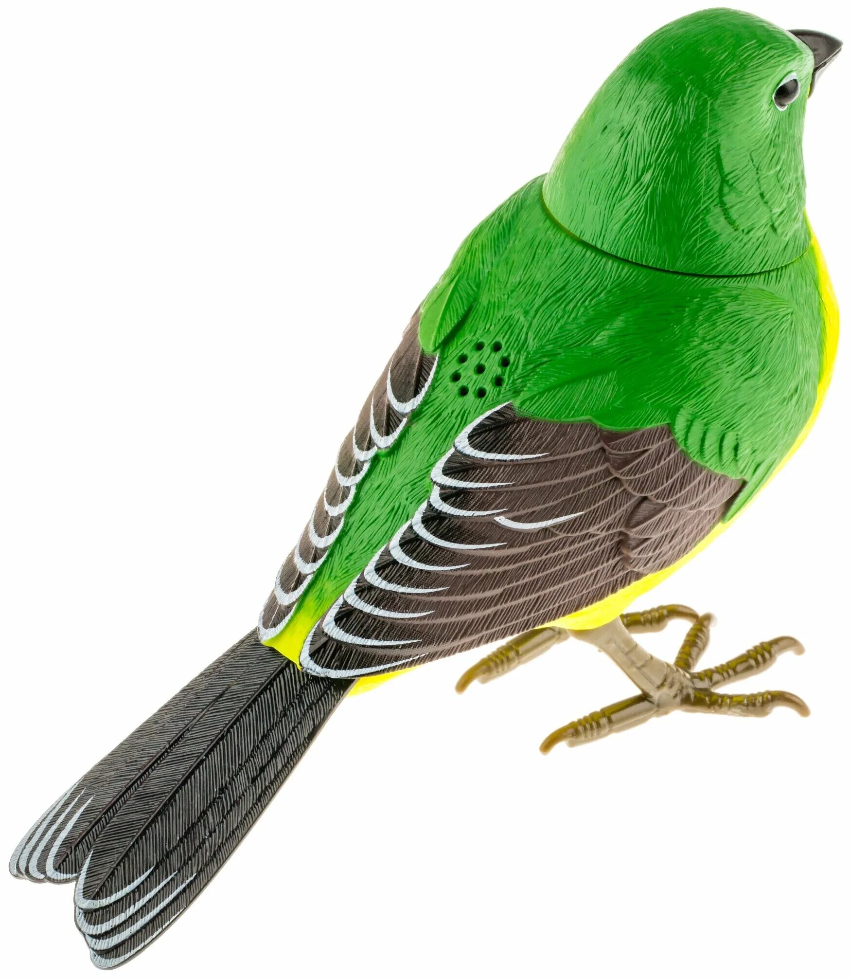 Bird цены. Птичка моделька. Интерактивная птичка щебечет. Свисток птичка зеленый. Птица реагирующая на движение.