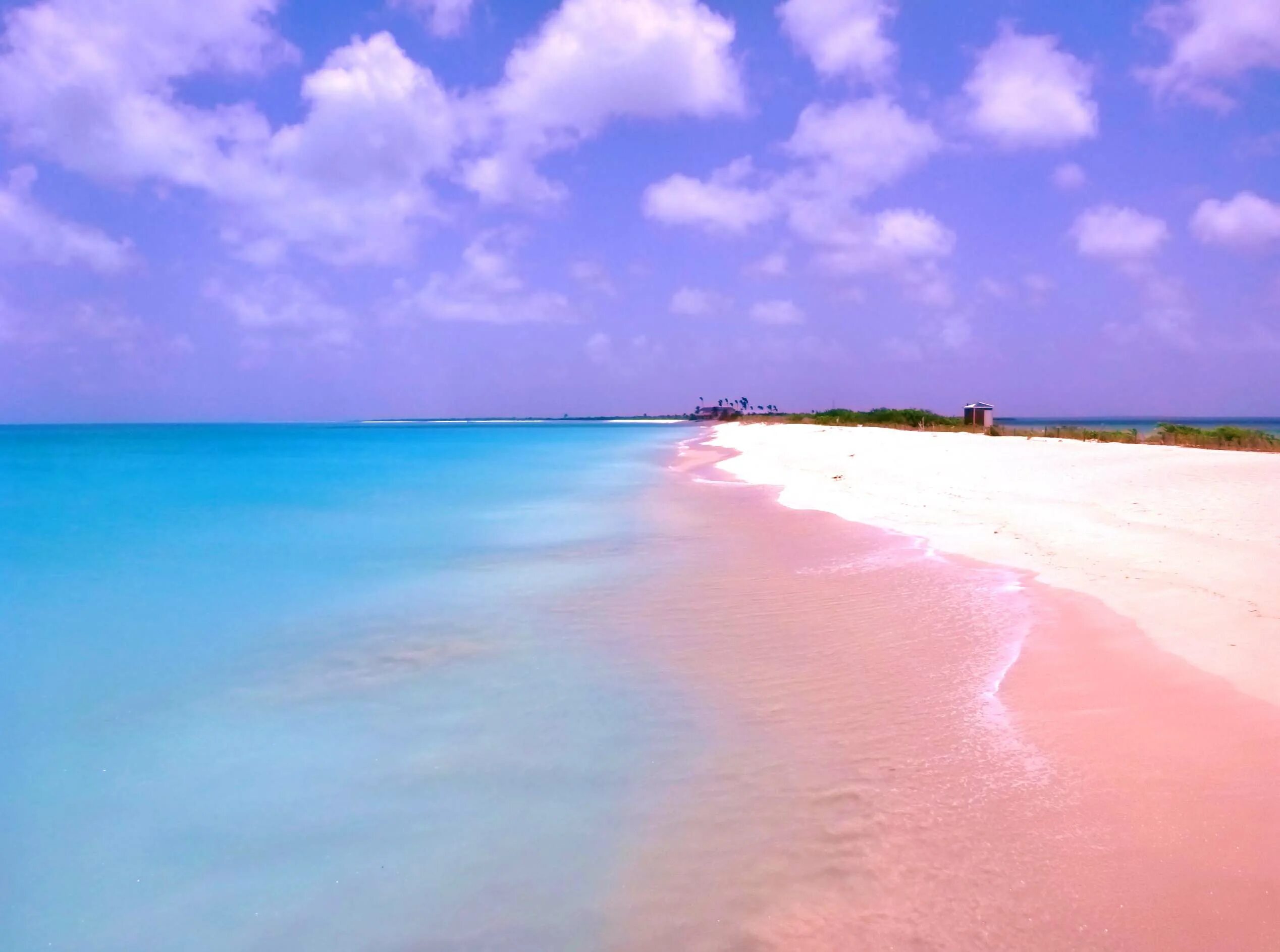 Пляж Пинк Сэндс Бич Багамские острова. Розовый пляж Пинк Сэнд Бич, Багамские острова. Харбор Багамы розовый пляж. Остров Харбор Багамские. Harbor island