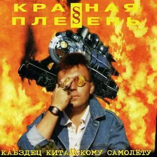 Красная плесень цой