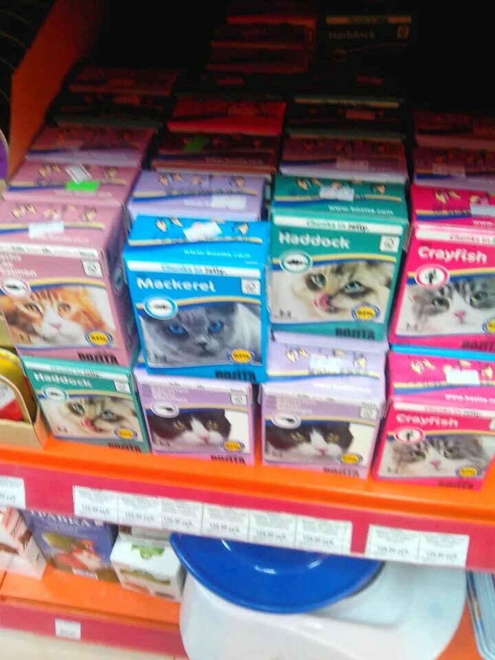 рыжий кот оренбург телефон