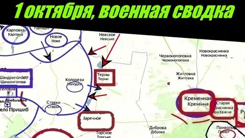 Сводки 01.08 2024