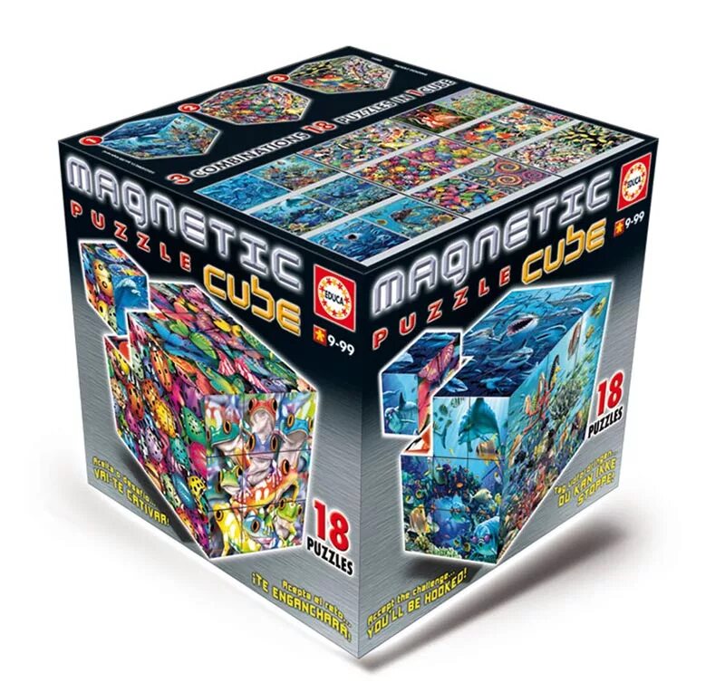 The fabled magnetic cube mechanics prelude