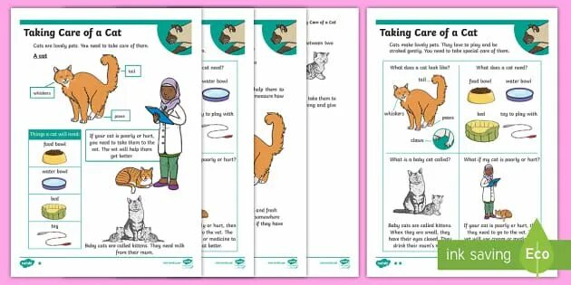 Take care of this. Take Care of Pets Worksheet. Taking Care of Pets Worksheets. Take Care of Pet. Secret Life of animals Worksheet.