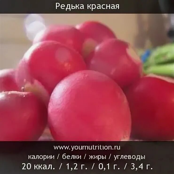Редис дайкон калорийность. Редька ккал на 100 грамм. Редька белая калорийность. Корнеплод дайкон чем полезен. Витаминыв зелёной редьке.
