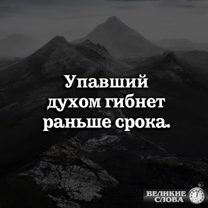 Рока гибнет раньше срока. Упавший духом гибнет. Цитата упавший духом гибнет раньше срока. Упавший гибнет раньше срока. Поникший духом гибнет раньше срока.