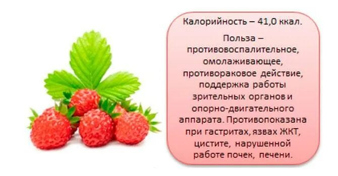 Клубника польза и вред для здоровья. Клубника польза. Полезные витамины в клубнике. Полезные свойства клубники для организма. Витамины в землянике.