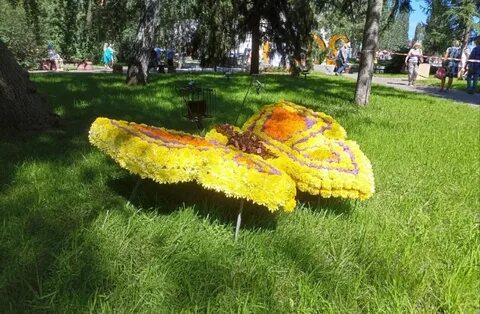Адрес флоры в омске 2024