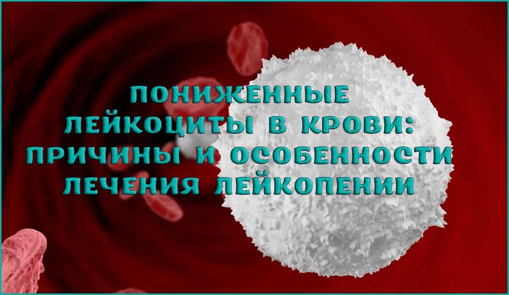 Как повысить лейкоциты в крови у мужчин. Низкие лейкоциты в крови. Понижение лейкоцитов в крови. Причины пониженных лейкоцитов. Причины понижения лейкоцитов.