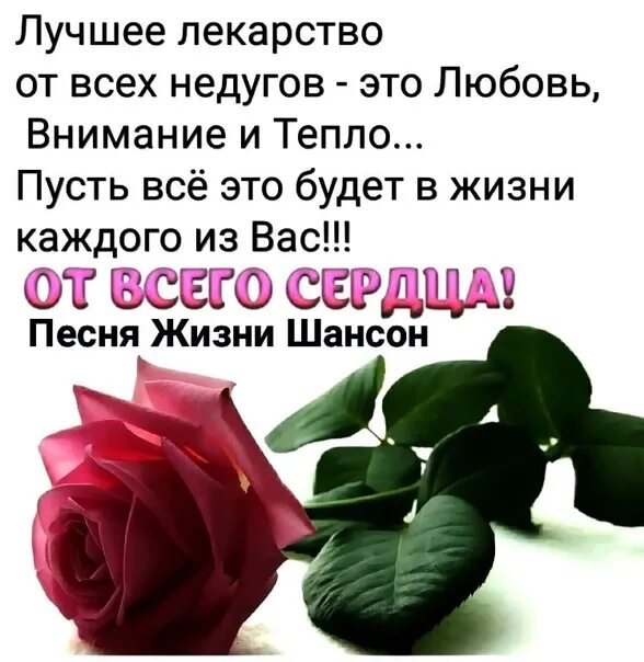 Вниманием и любовью к тому. Вниманием и любовью к тому
