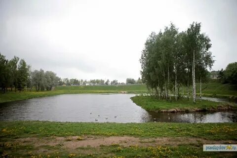 Дендропарк псков