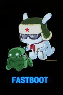 Mi fast