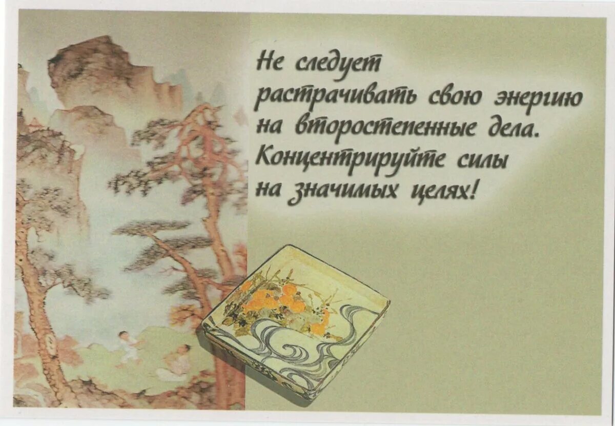 С днем рождения ваша мудрость