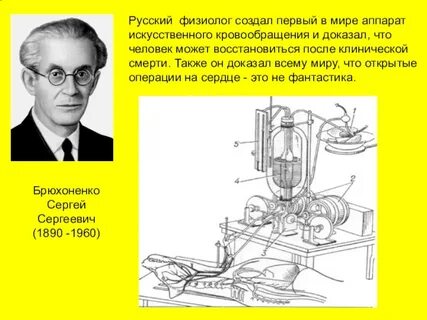 Брюхоненко