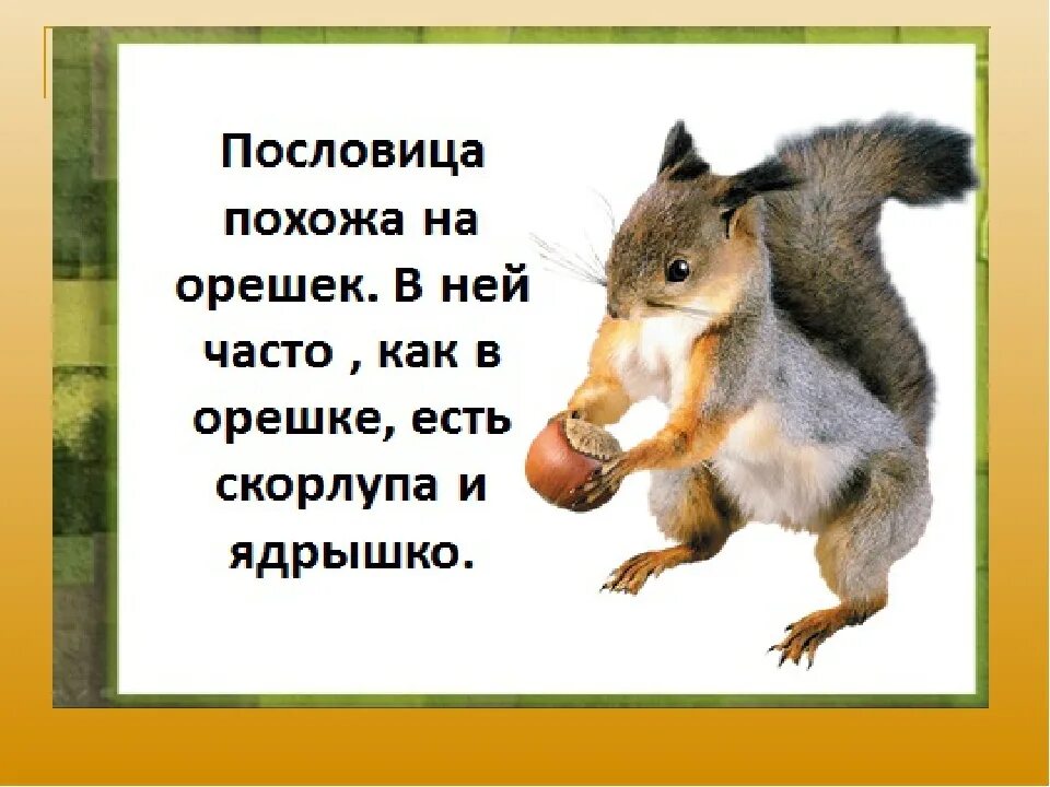 Слова что орехи без ядра. Поговорки про орехи. Пословица про орех. Пословицы про белку. Поговорки с белкой.