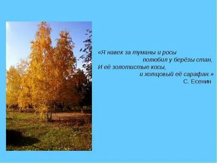 Я навек за туманы и росы полюбил