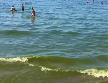 Вода в заливе сейчас