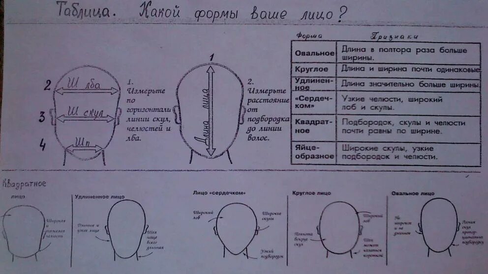 Форма лица по измерениям. Схема определения формы лица. Форма для определения формы лица. Типы лица пропорции.