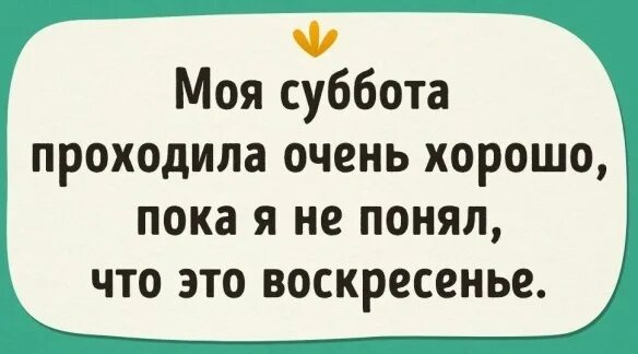 Цитаты про выходные. Моя суббота проходила очень хорошо. Вечер субботы цитаты. Я пока не поняла. Жена на день рождения попросила норку.