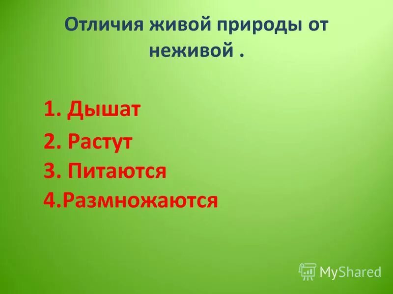 Включи неживая жизнь