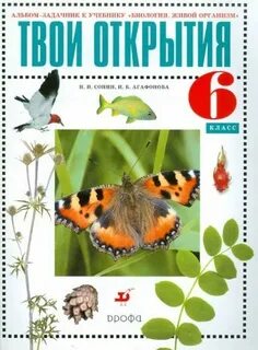 Н и сонина 5 класс
