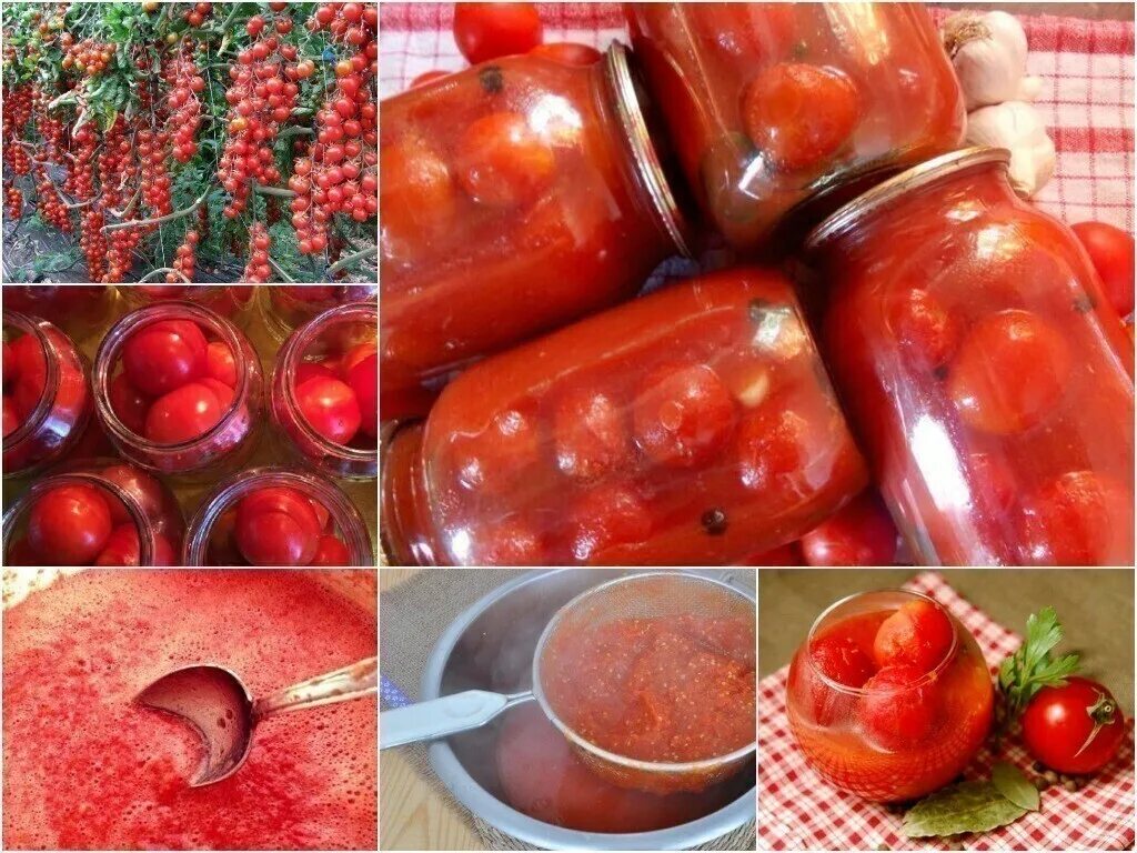 Рецепт приготовления домашнего томата