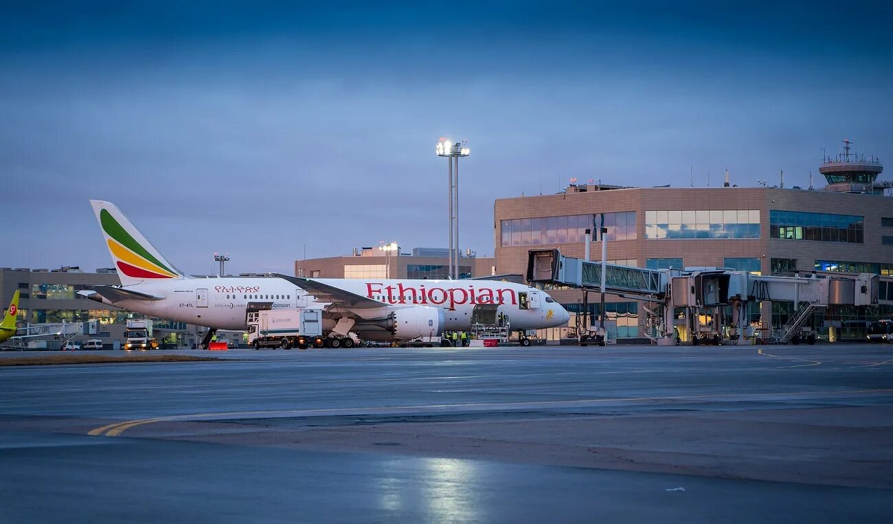 Ethiopian airlines рейс. Эфиопиан Эйрлайнс Домодедово. Boeing 787 Dreamliner Ethiopian Airlines. Boeing 787 в Домодедово. Addis Ababa аэропорт.