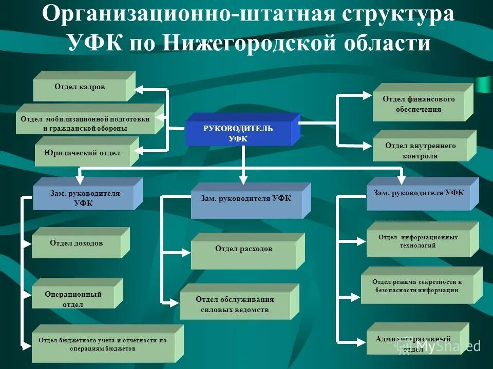 Федеральное операционное управление федерального казначейства. Организационно-штатная структура. Организационно-штабная структура. Штатная структура организации. Схема организационно-штатной структуры организации.