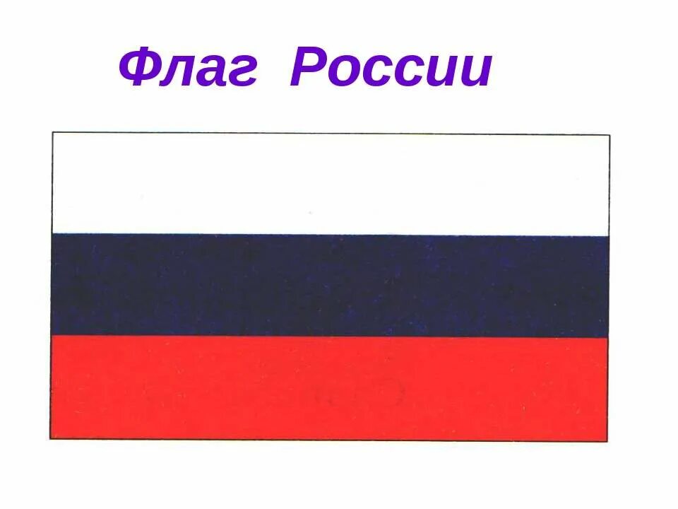 Новый флаг России. Вариации флага России. Будущий флаг России. Варианты нового флага России.