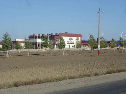 Станица большевистская 77а