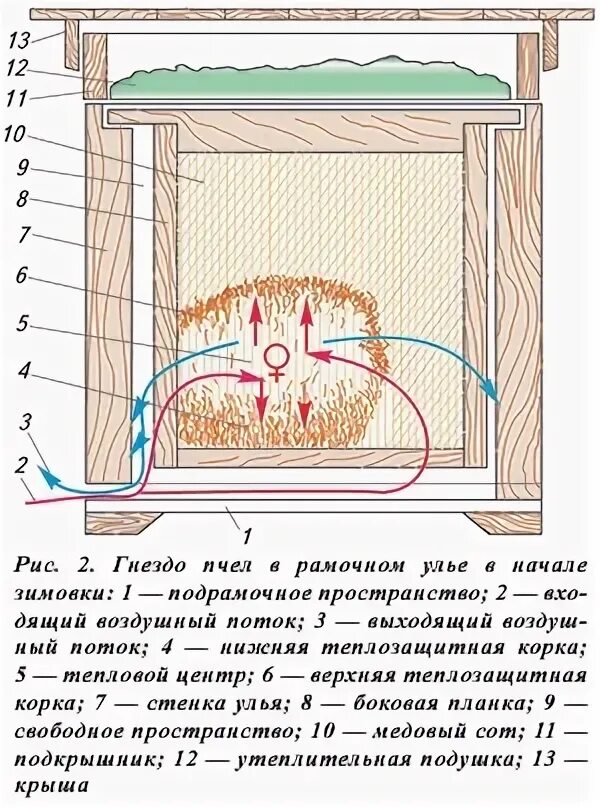 Температура улья пчел. Вентиляция улья. Вентиляция улья при зимовке. Вентиляция улья зимой. Вентиляция в крышке улья.