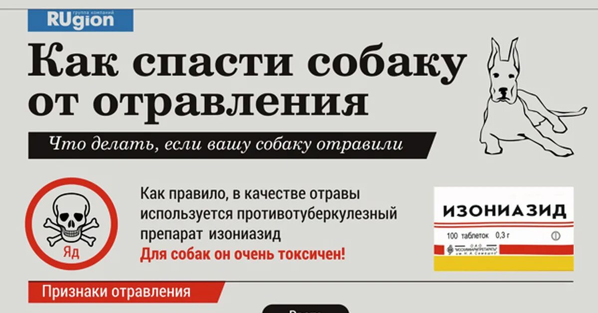 Отрава для собак. Средство для отравления собак. Препараты для отравления собак. Чем отравить собаку. Отрава для собак в аптеке