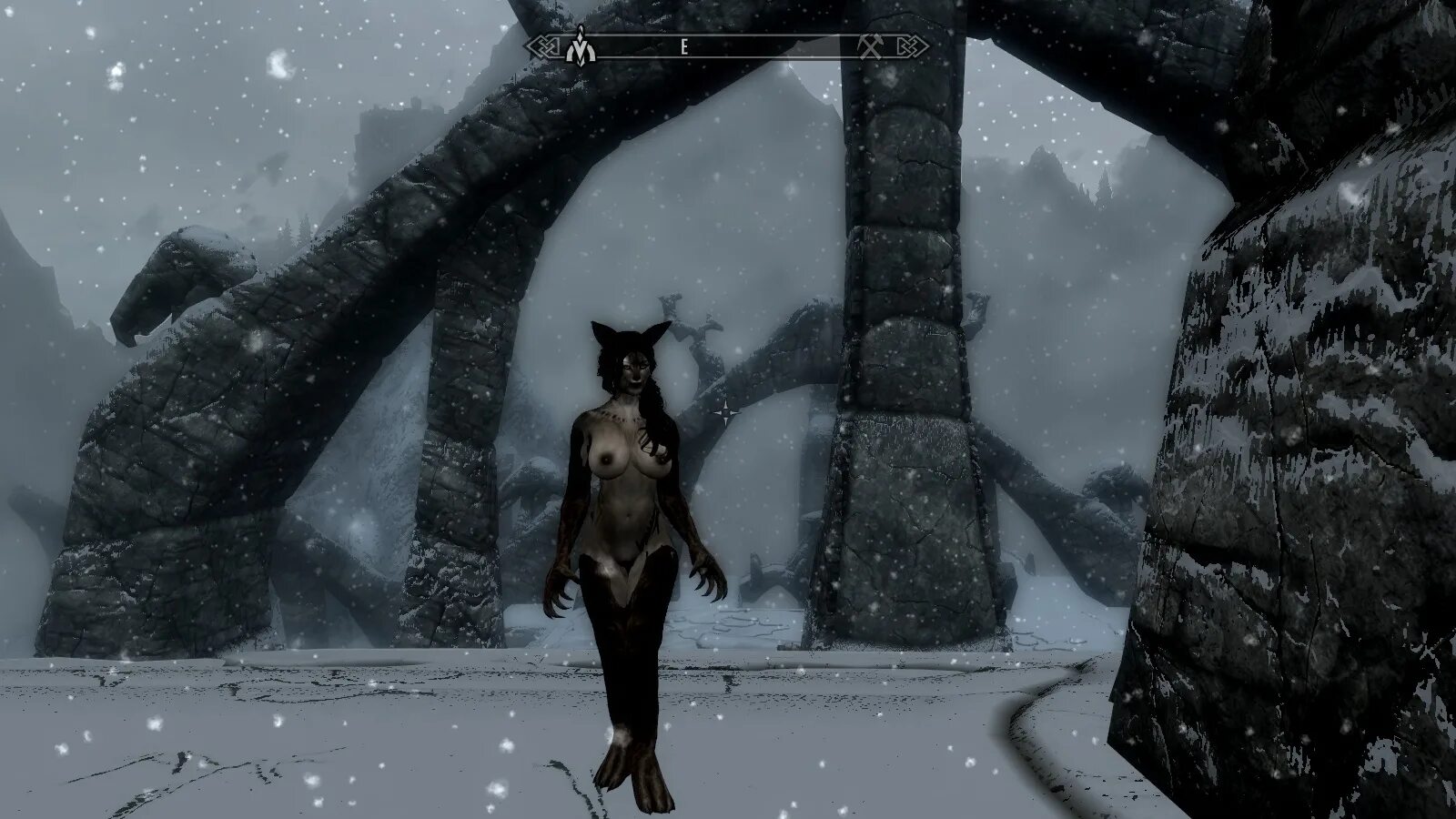Skyrim le animation